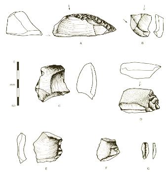 Artefacts from Bettys Creek (published in Australian Archaeology 51:30).