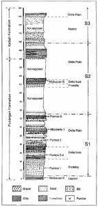 Geological column section (published in Australian Archaeology 57:2).