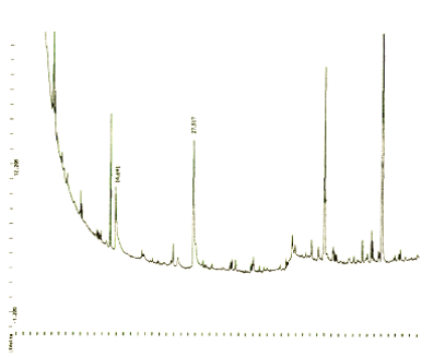 Gas chromatography sequence for Sample 1 (published in Australian Archaeology 49:25).
