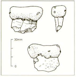 The resin hafted implement (published in Australian Archaeology 48:45).