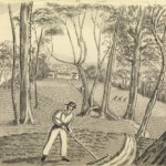 Sketch by Thomas Lempriere showing the gardens on Phillips Island, Macquarie Harbour. Though successful, the gardens required the convicts' constant labour (Courtesy of the Allport Library and Museum of Fine Arts, Tasmanian Archive and Heritage Office).