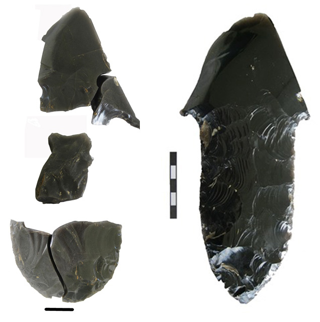 Stemmed obsidian tools from the Barema site. Scale bar on the right is 2cm, on the left is 1cm. Image credit: Peter White.