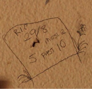 The resting place of 'mosi 2' graffiti, Adelaide Gaol (published in Australian Archaeology 78).