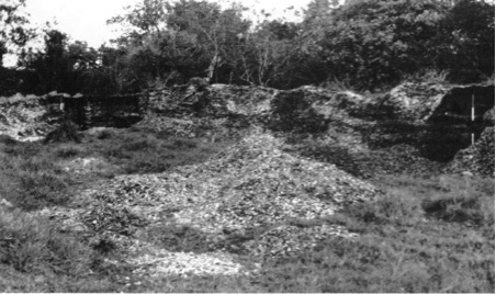 One of the investigated shell mounds (published in Australian Archaeology 37:3).