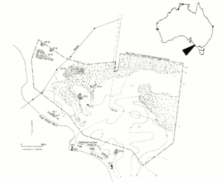 Location of sites within the proposed Finger Point sewerage works project area (published in Australian Archaeology 33:29).
