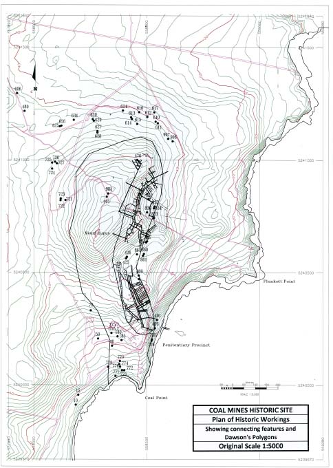 Plan of historic workings at Plunkett Point.