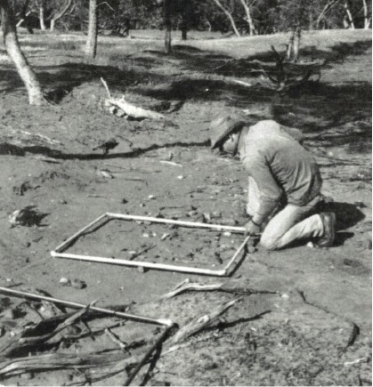 Stan Florek using a plastic metre square to sample at Hawker (published in Australian Archaeology 33:63).